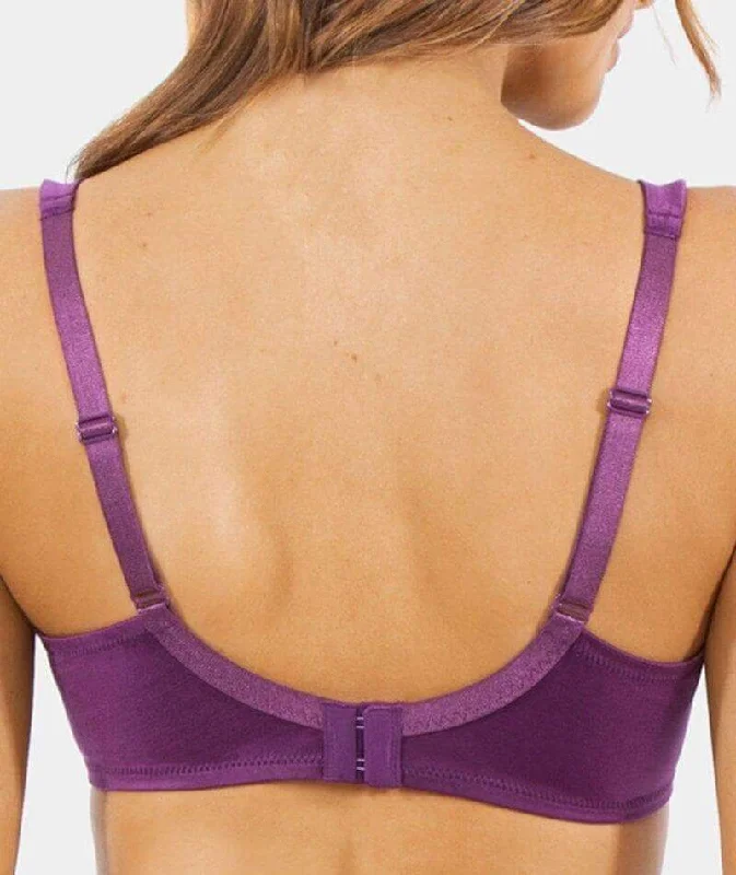 Triumph Lacy Minimizer 2 Pack Bra - Purple/Brown