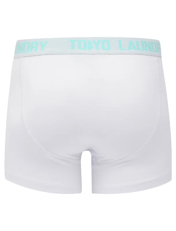 Lammie (2 Pack) Boxer Shorts Set in Blue Tint / White - Tokyo Laundry