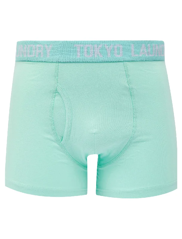 Lammie (2 Pack) Boxer Shorts Set in Blue Tint / White - Tokyo Laundry