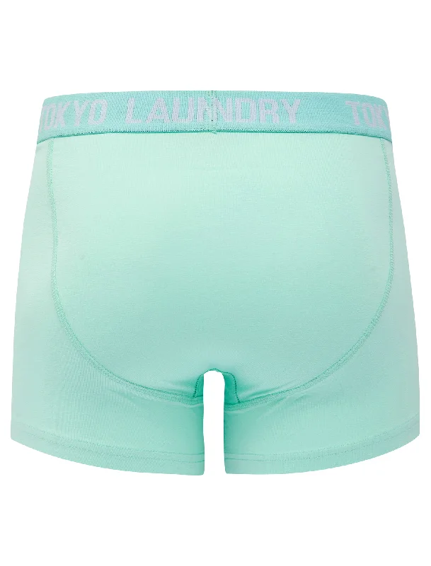 Lammie (2 Pack) Boxer Shorts Set in Blue Tint / White - Tokyo Laundry