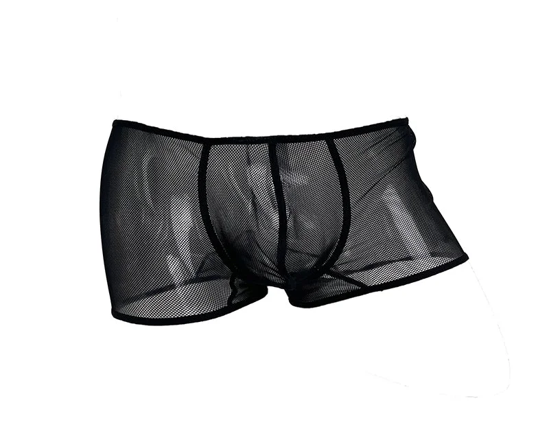 Mens Neo Sexy Mesh Trunk See-thru Underwear - BLOWOUT SALE!