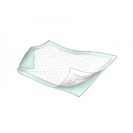 Durasorb Underpad, 30 x 30 Inch, Disposable, Fluff, Moderate Absorbency, Case of 100