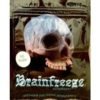 https://fashiona.site/product/brainfreeze-herbal-incense/