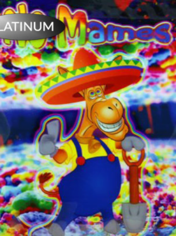 No Mames Herbal Incense 10g
