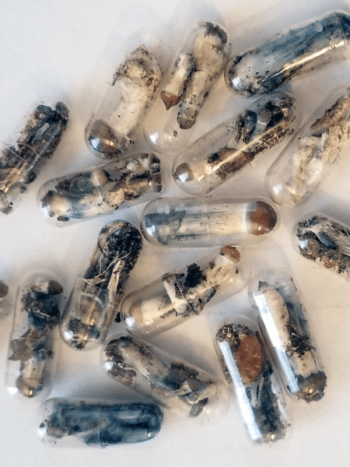 MICRODOSING MUSHROOMS